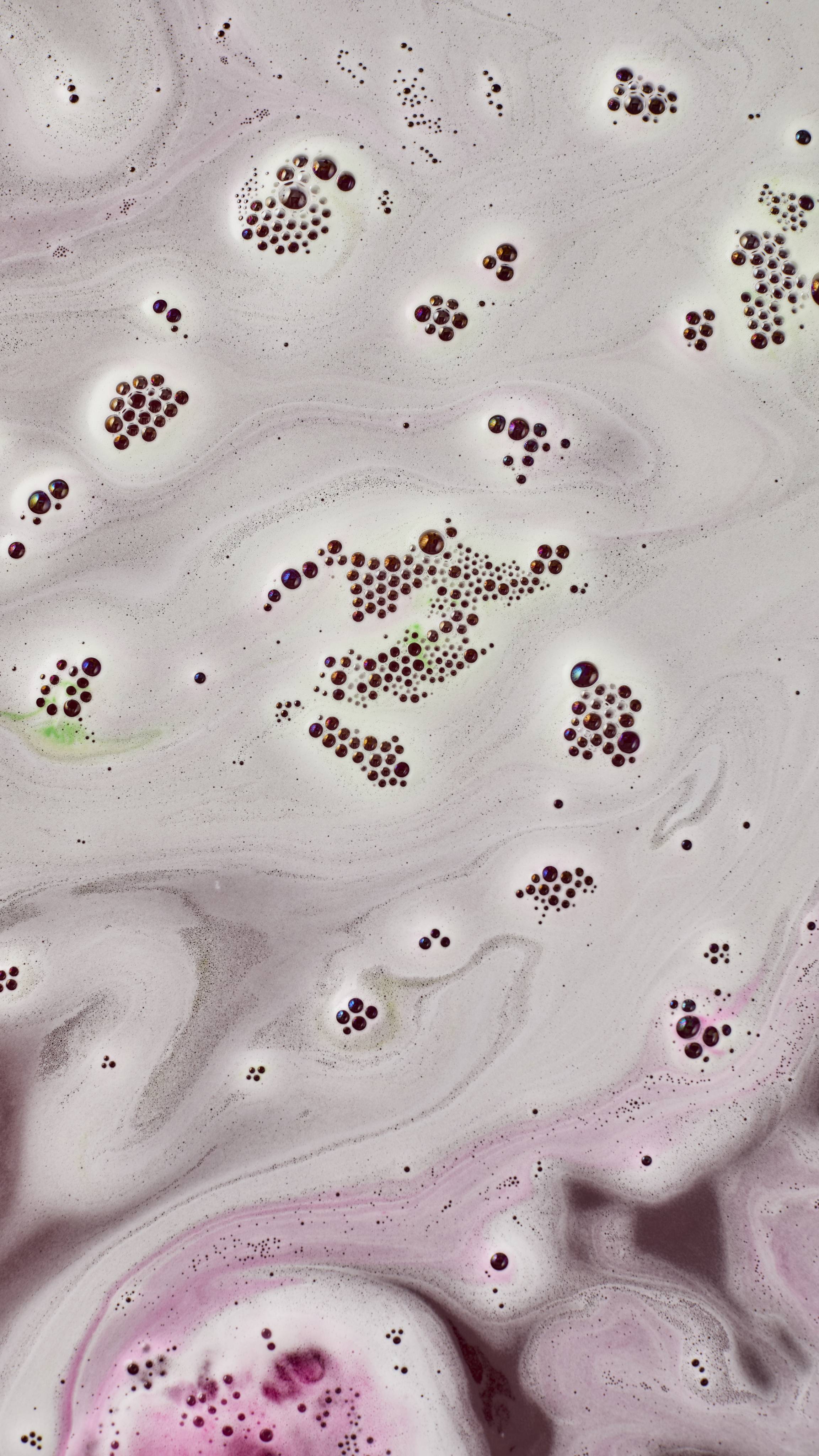 Lord of Misrule - Image 5