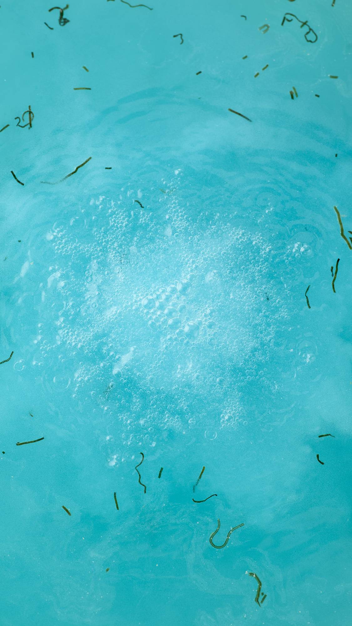 Big Blue - Image 5