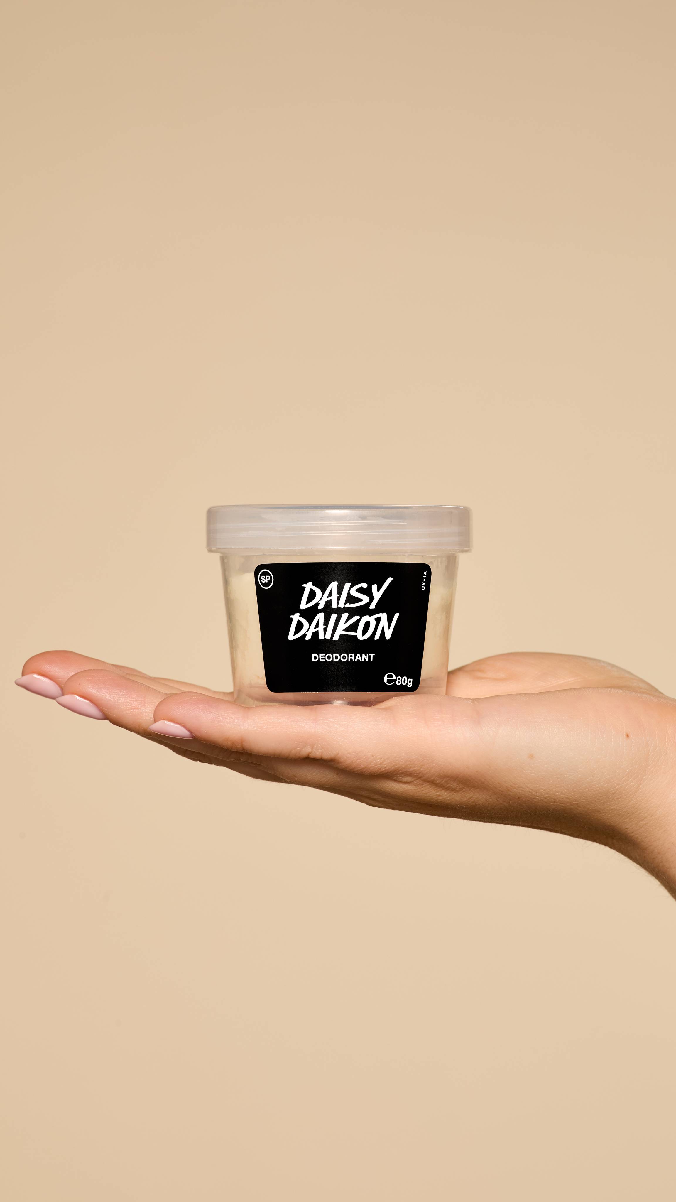 Alternative view of Daisy Daikon
