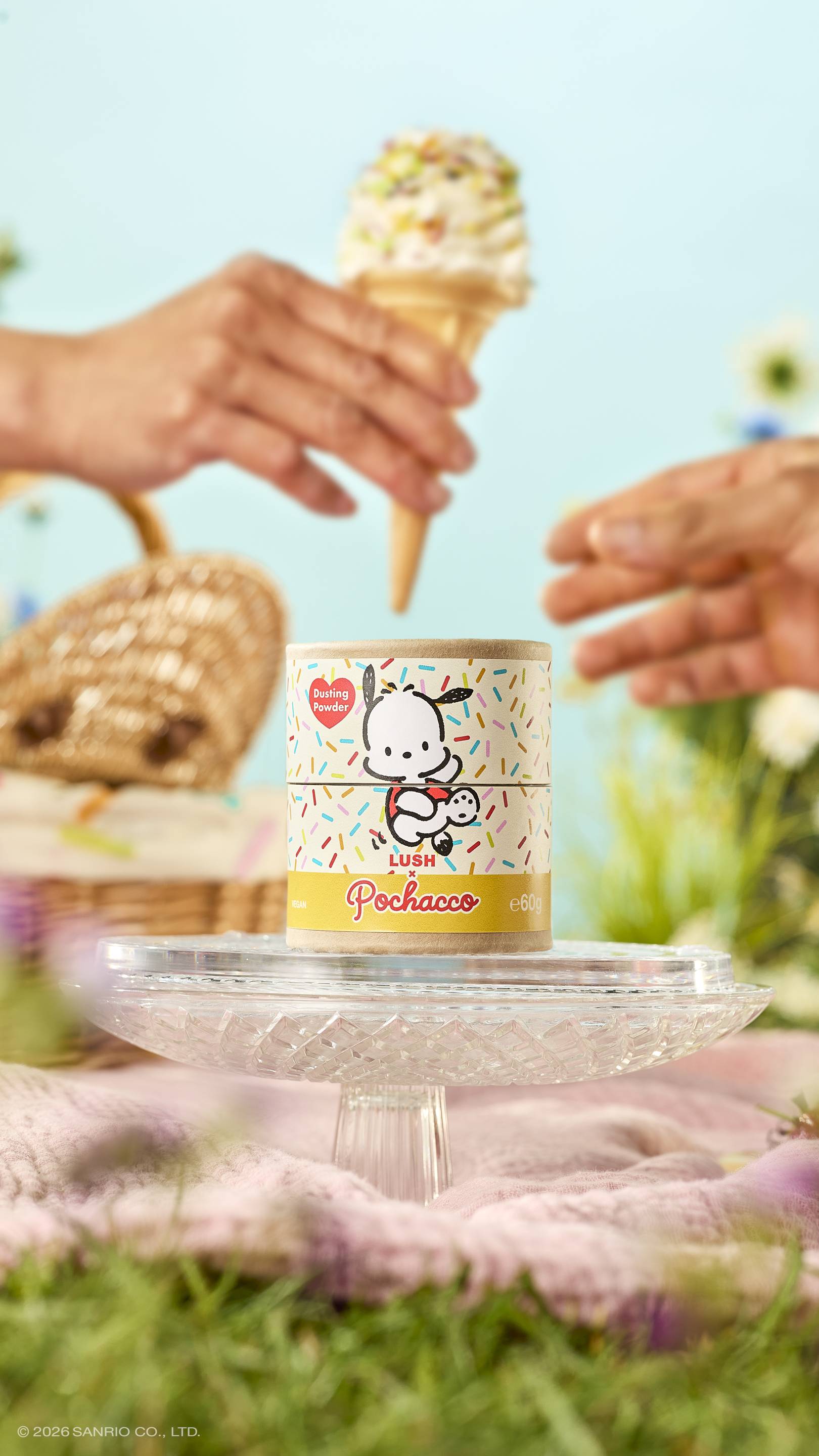 Alternative view of Pochacco