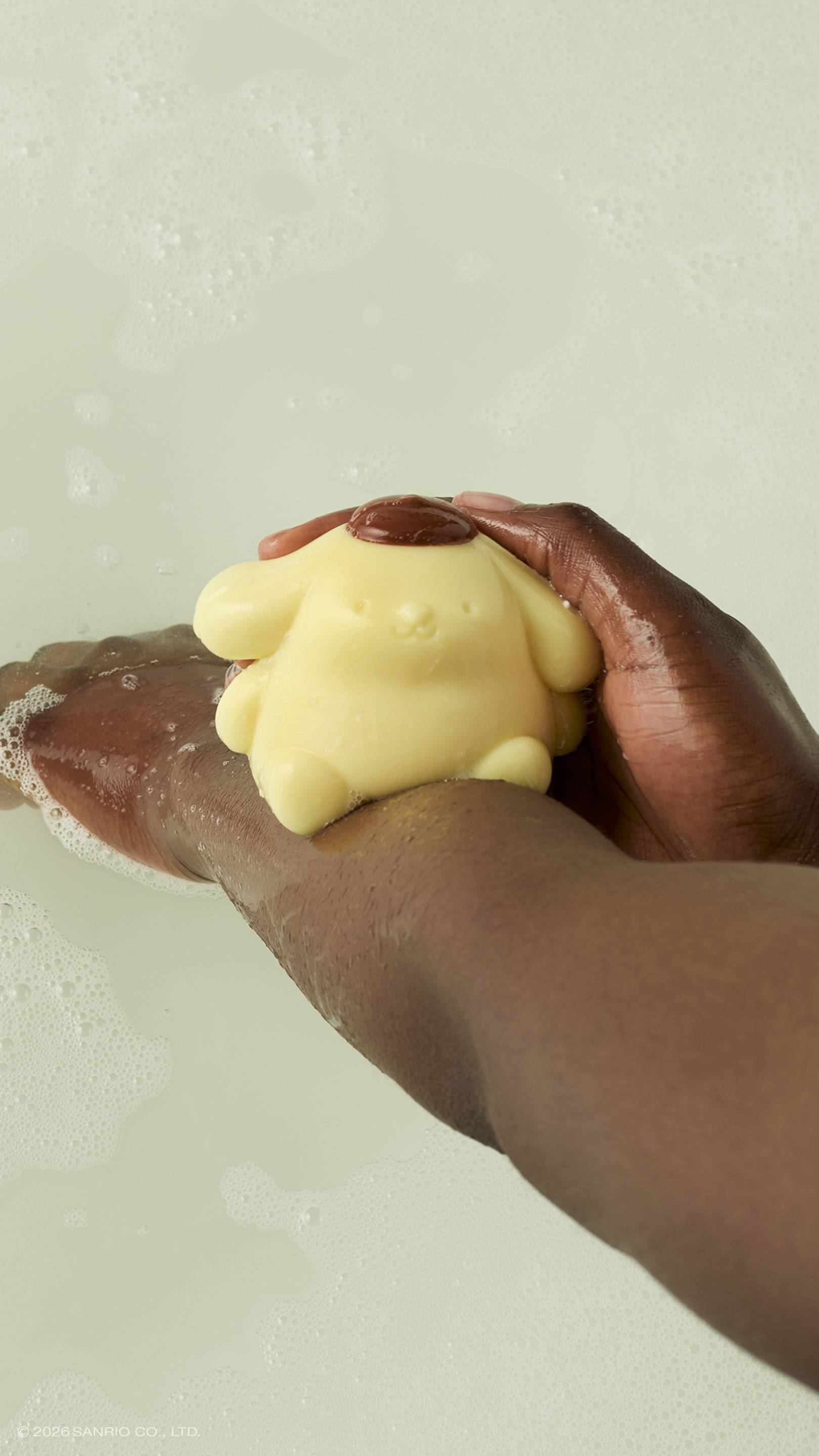 Pompompurin - Image 6