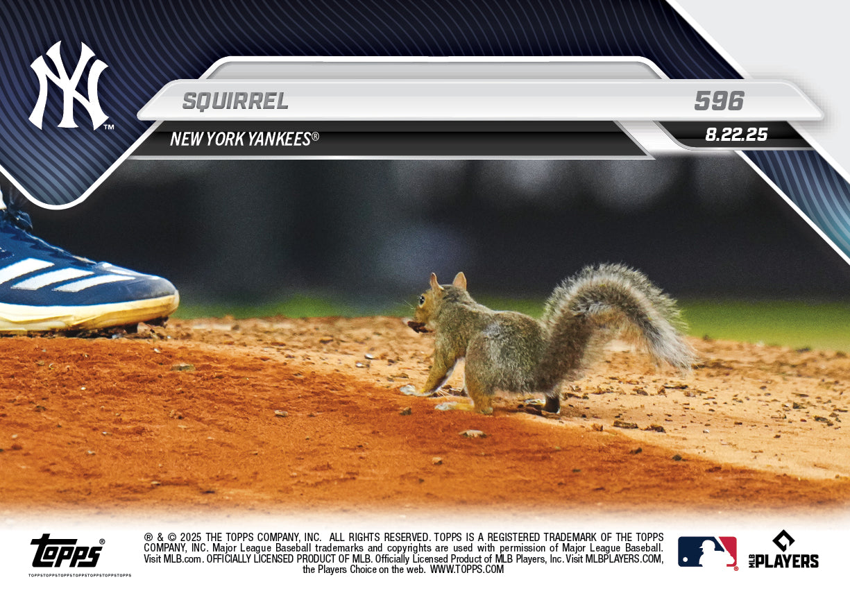 Squirrel - 2025 MLB Topps NOW - Card 596 - PR: 4979 - Image 2