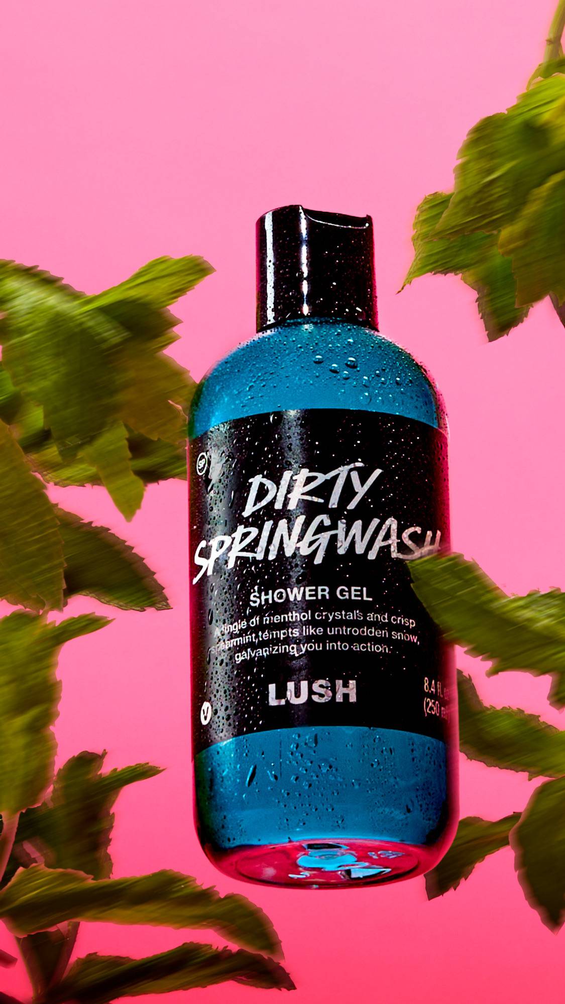 Alternative view of Dirty Springwash