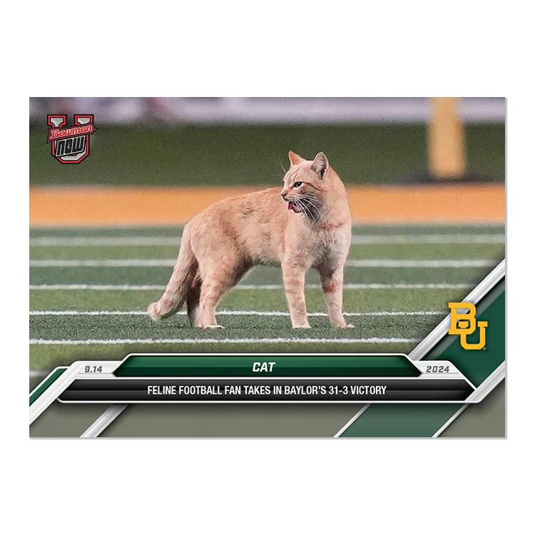 Cat - 2024 Bowman U NOW Football Card 14 - PR: 2048