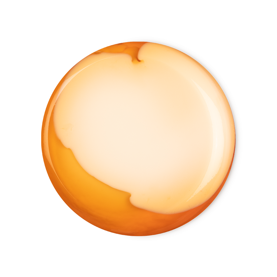 Bongo