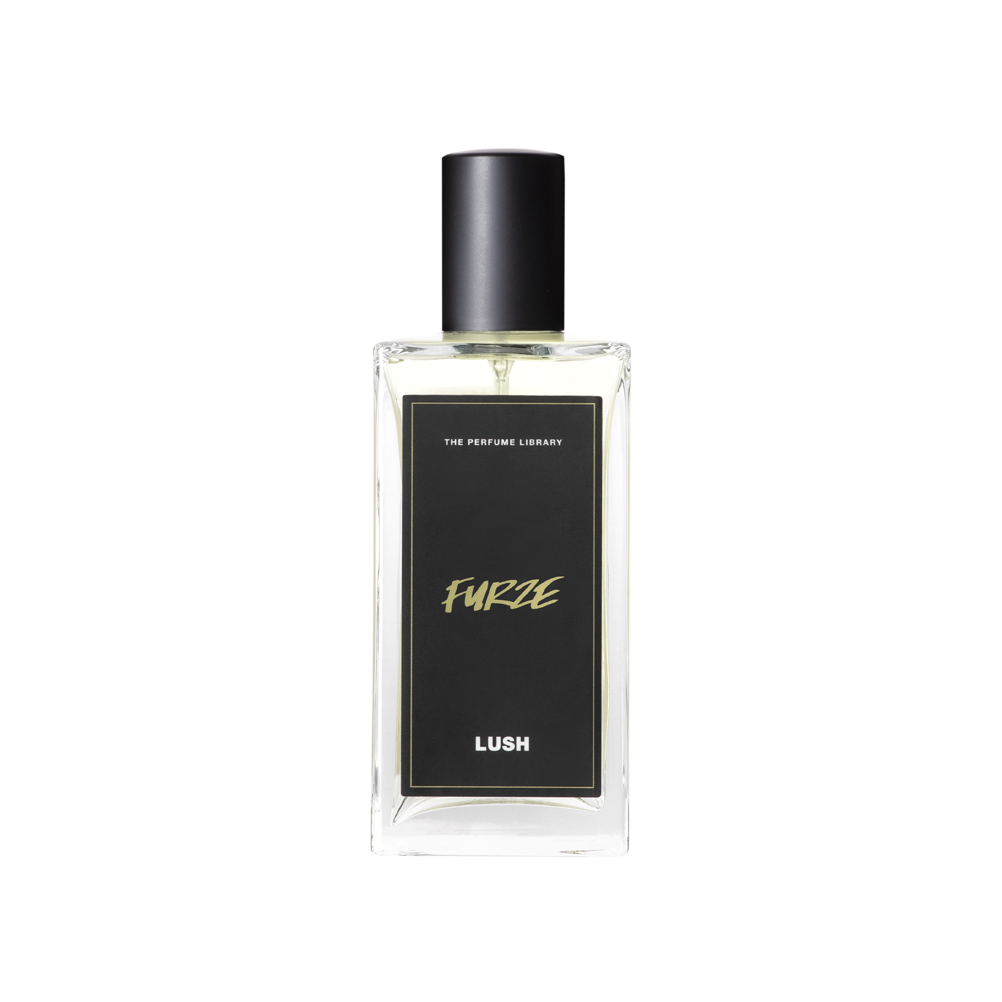 Furze